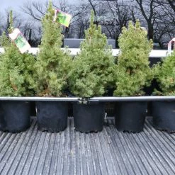 CargoSmart Trailer Accessories 40-70In Adjustable Ratcheting Cargo Bar -Hopkins Online Shop 08175602