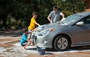 Hopkins Online Shop 2 Hopkins Online Shop -Hopkins Online Shop 5341