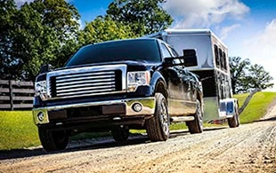 Hopkins Online Shop 3 Hopkins Online Shop -Hopkins Online Shop 74541